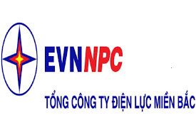  Nghị định về việc chuyển giao công trình điện là tài sản công sang Tập đoàn Điện lực Việt Nam
